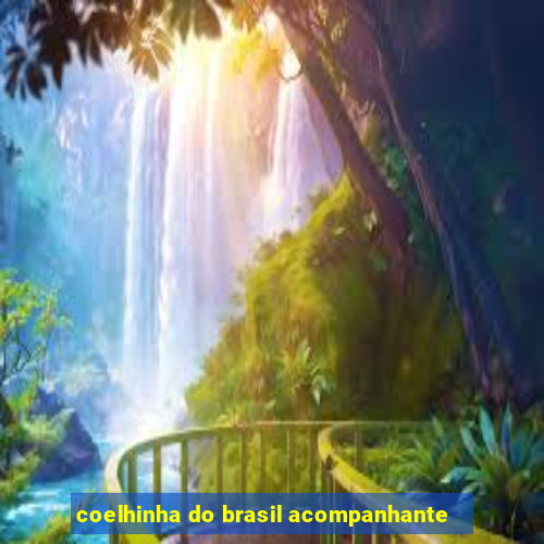 coelhinha do brasil acompanhante