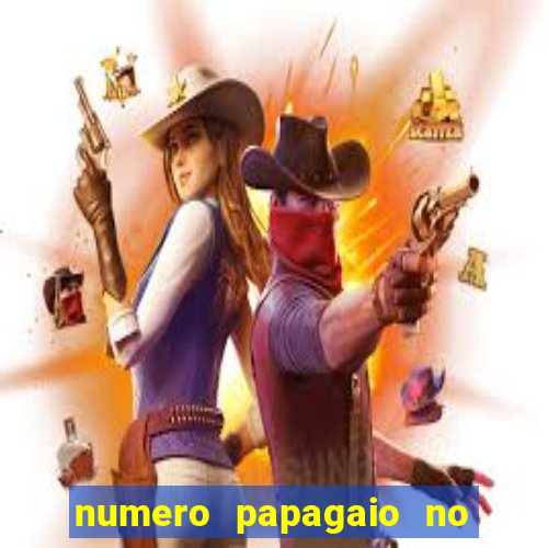 numero papagaio no jogo do bicho