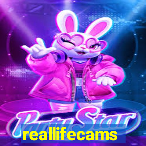 reallifecams