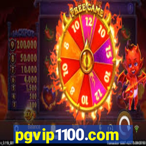 pgvip1100.com